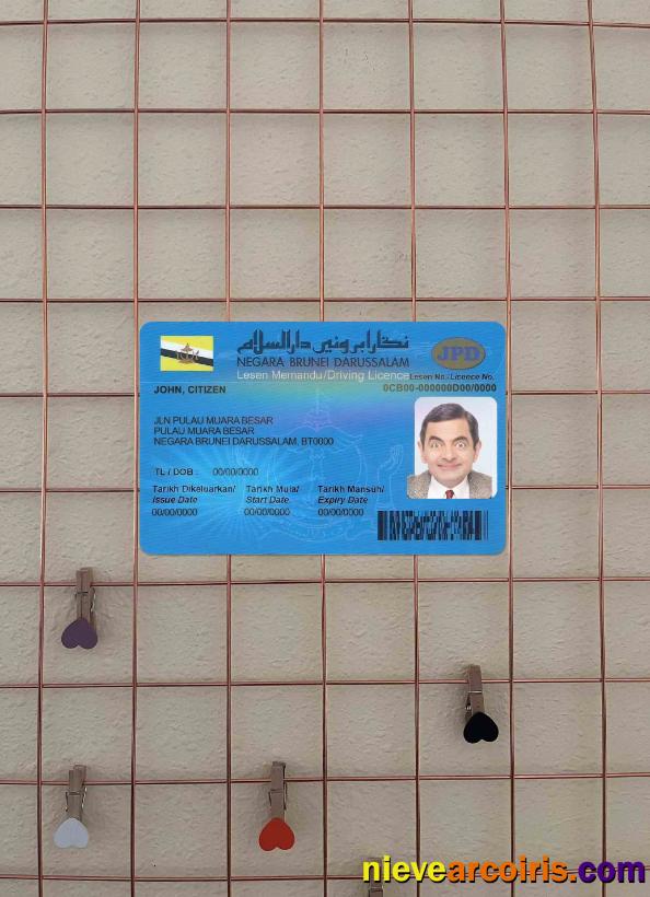 Brunei driving license photolook